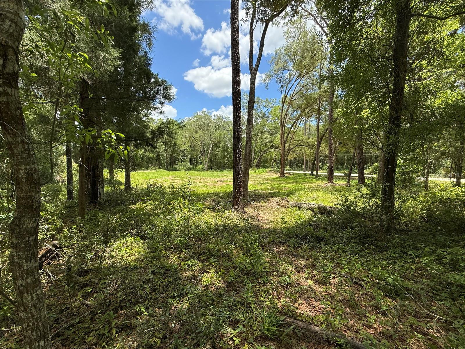 WESTWOOD ACRES SOUTH - Land