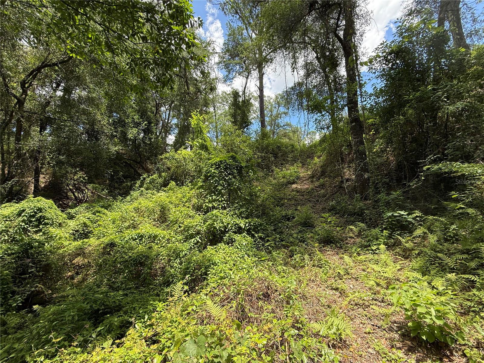WESTWOOD ACRES SOUTH - Land