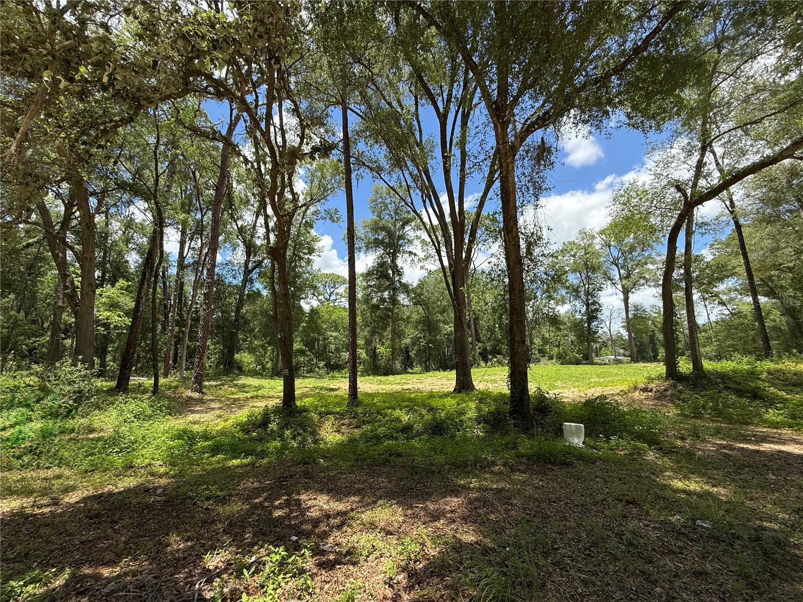 WESTWOOD ACRES SOUTH - Land