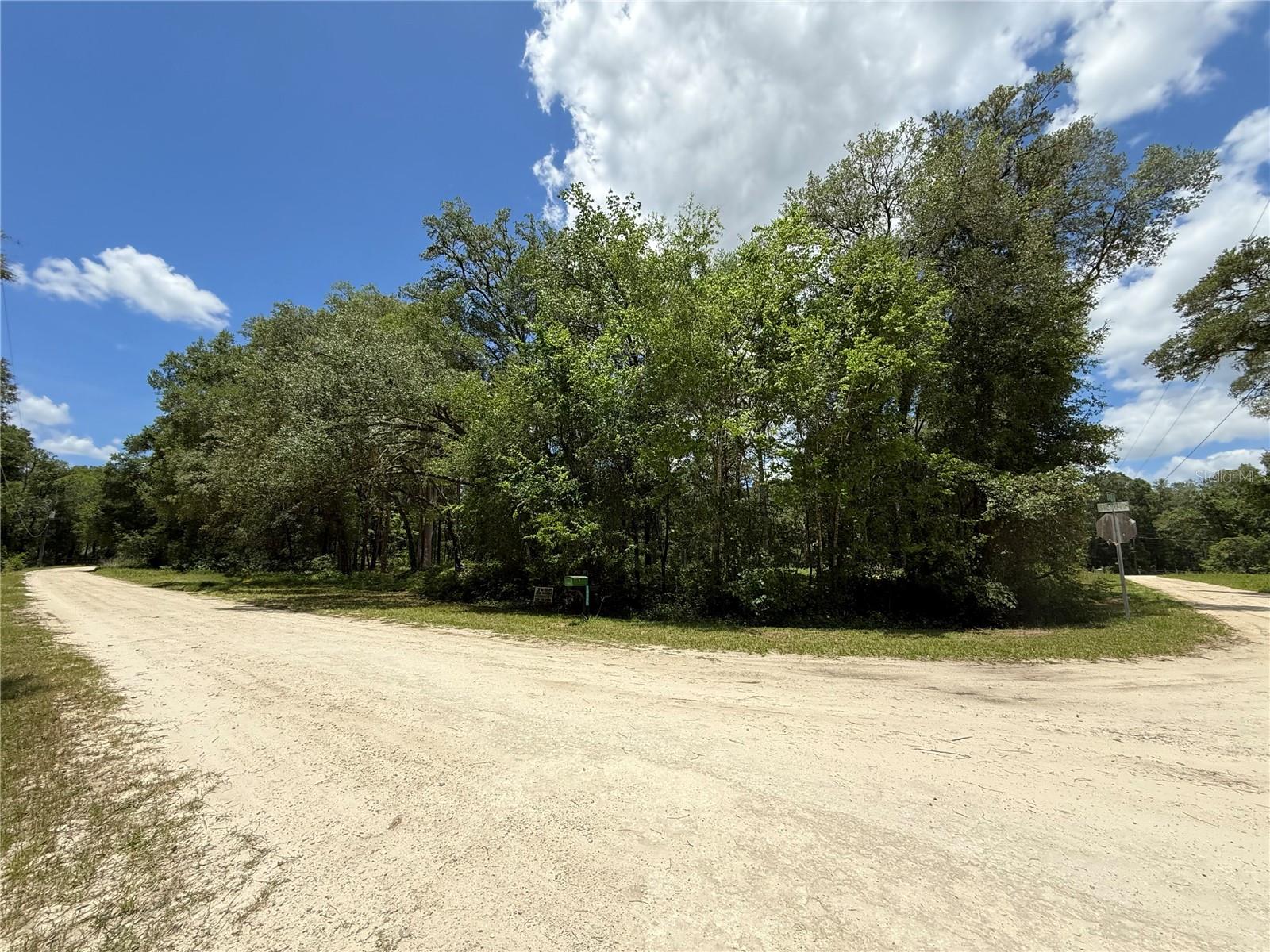 Beautiful 1.18-acre corner lot with A-1 zoning and NO HOA OR FLOODZONE, offering the perfect blend of privacy and convenience. The property has been PARTIALLY CLEARED and features a SCENIC VIEW overlooking a dry, ABANDONED LIMEROCK QUARRY, creating a unique and peaceful setting. Located on a well-maintained hard packed road just off the asphalt, access is easy for cars, trucks, and trailers. NEARBY POWER available, making future development even more convenient. Enjoy country living while being just a short drive from shopping, dining, schools, and other major amenities throughout Marion County. Bring your animals and site-built or manufactured home and make this property your own!