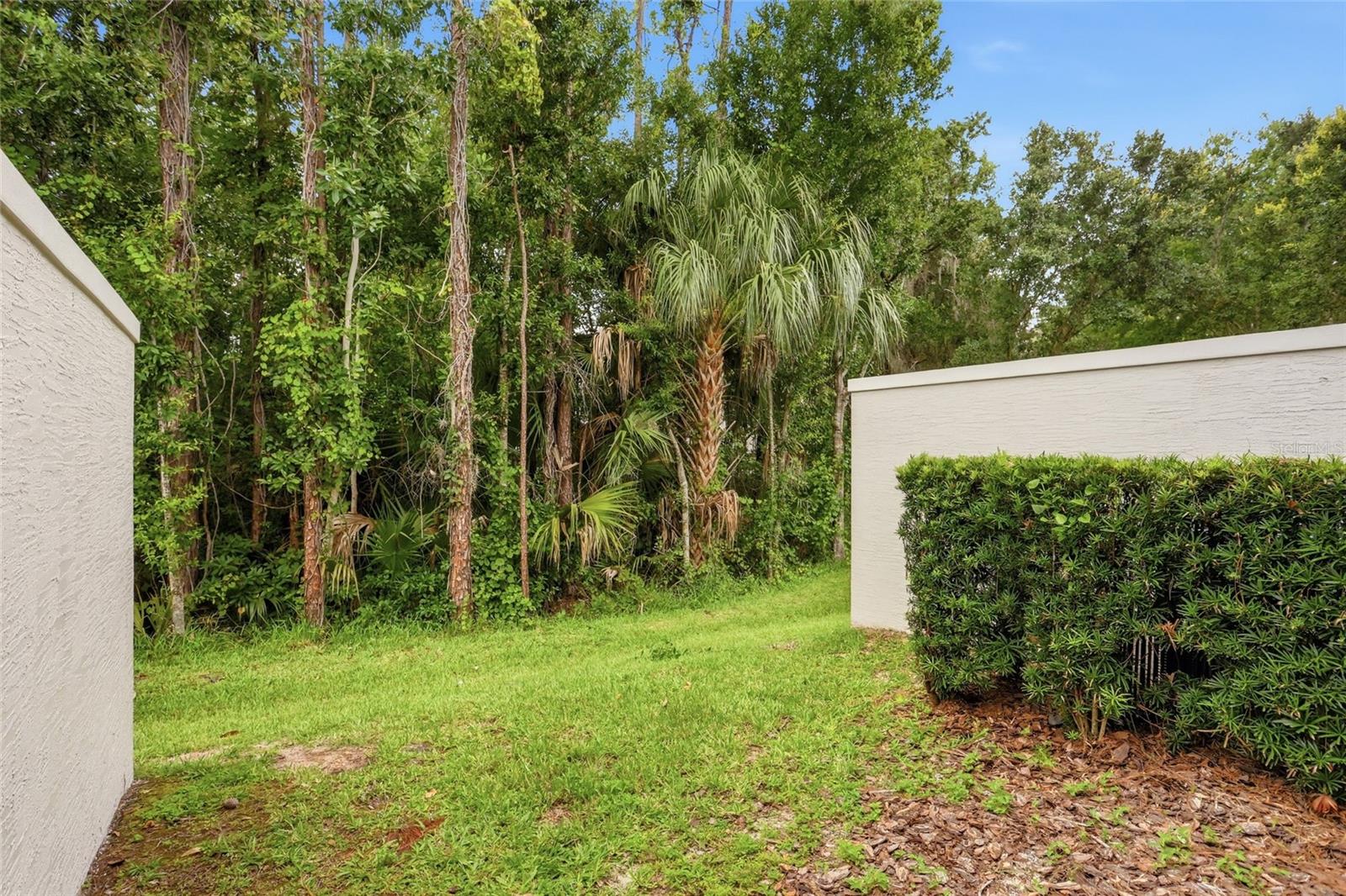 FOUNTAINS AT CHAMPIONSGATE PH 1 REP - Residential