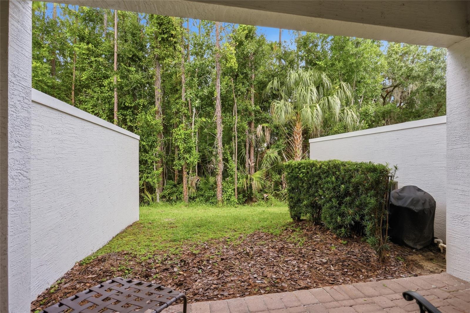 FOUNTAINS AT CHAMPIONSGATE PH 1 REP - Residential