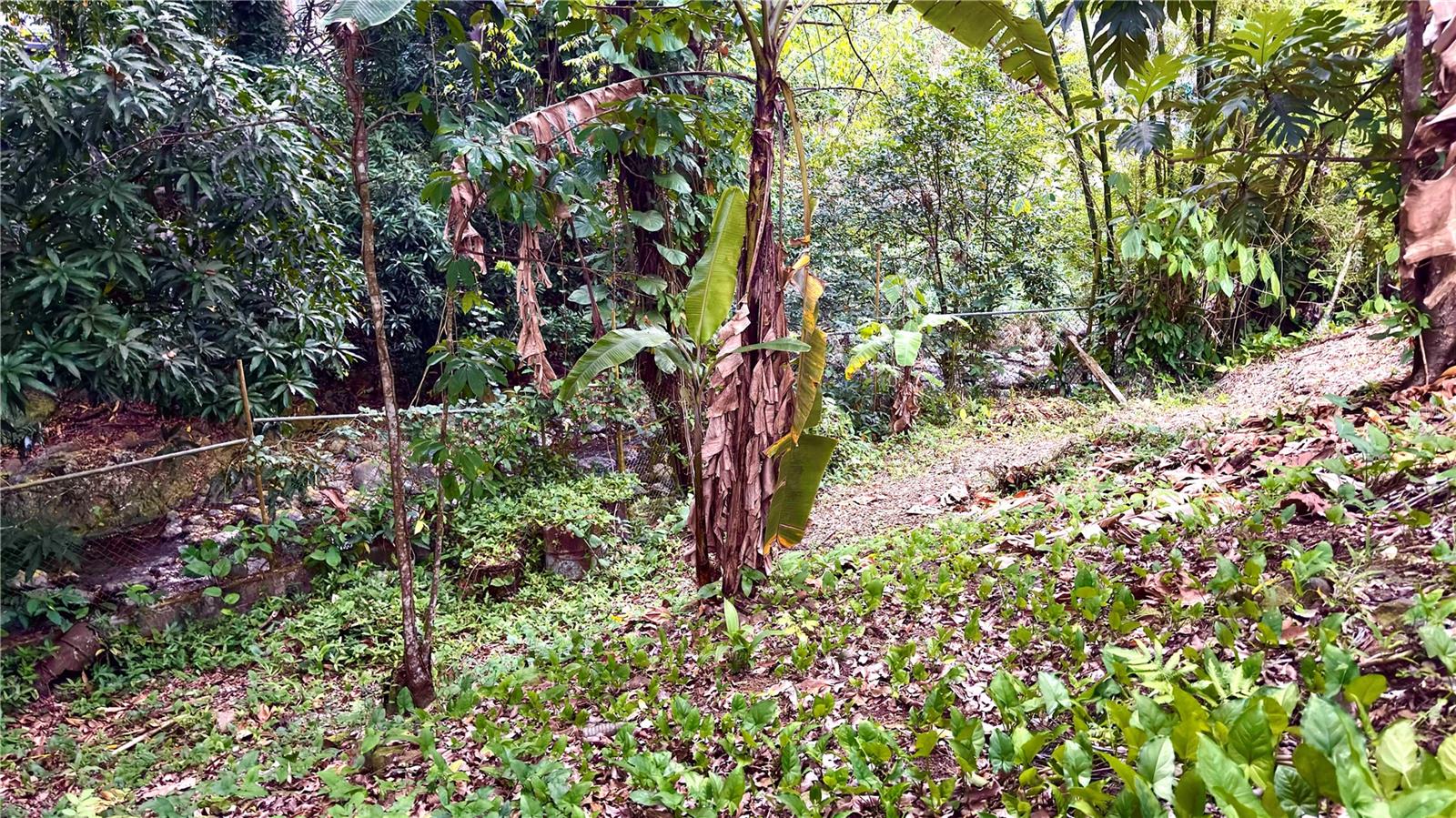 CORRAL VIEJO SECTOR MAGUEYES - Residential