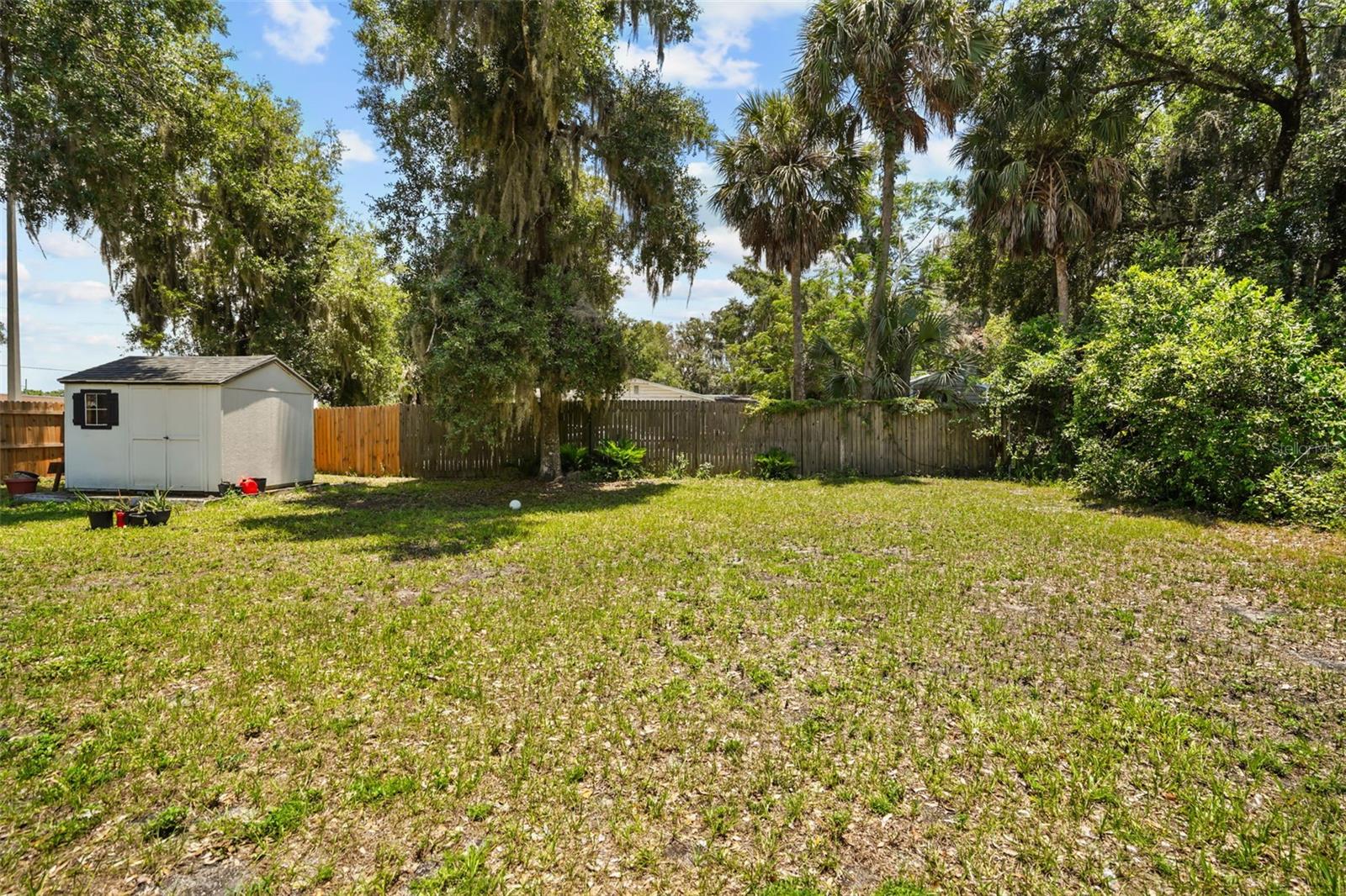 MOUNT DORA - Residential