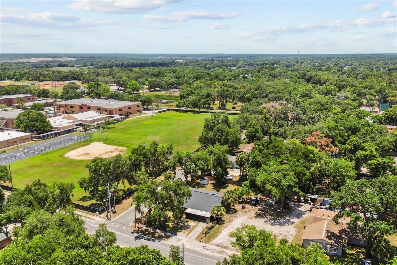 MOUNT DORA - Residential
