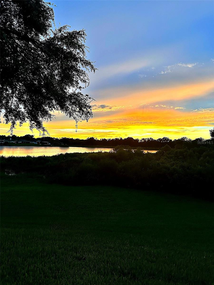 WILLOW BEND - Residential