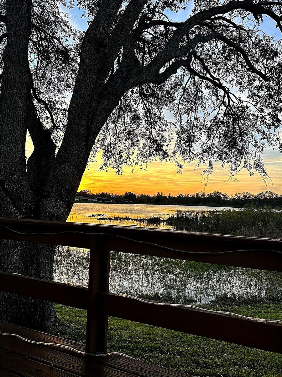 WILLOW BEND - Residential