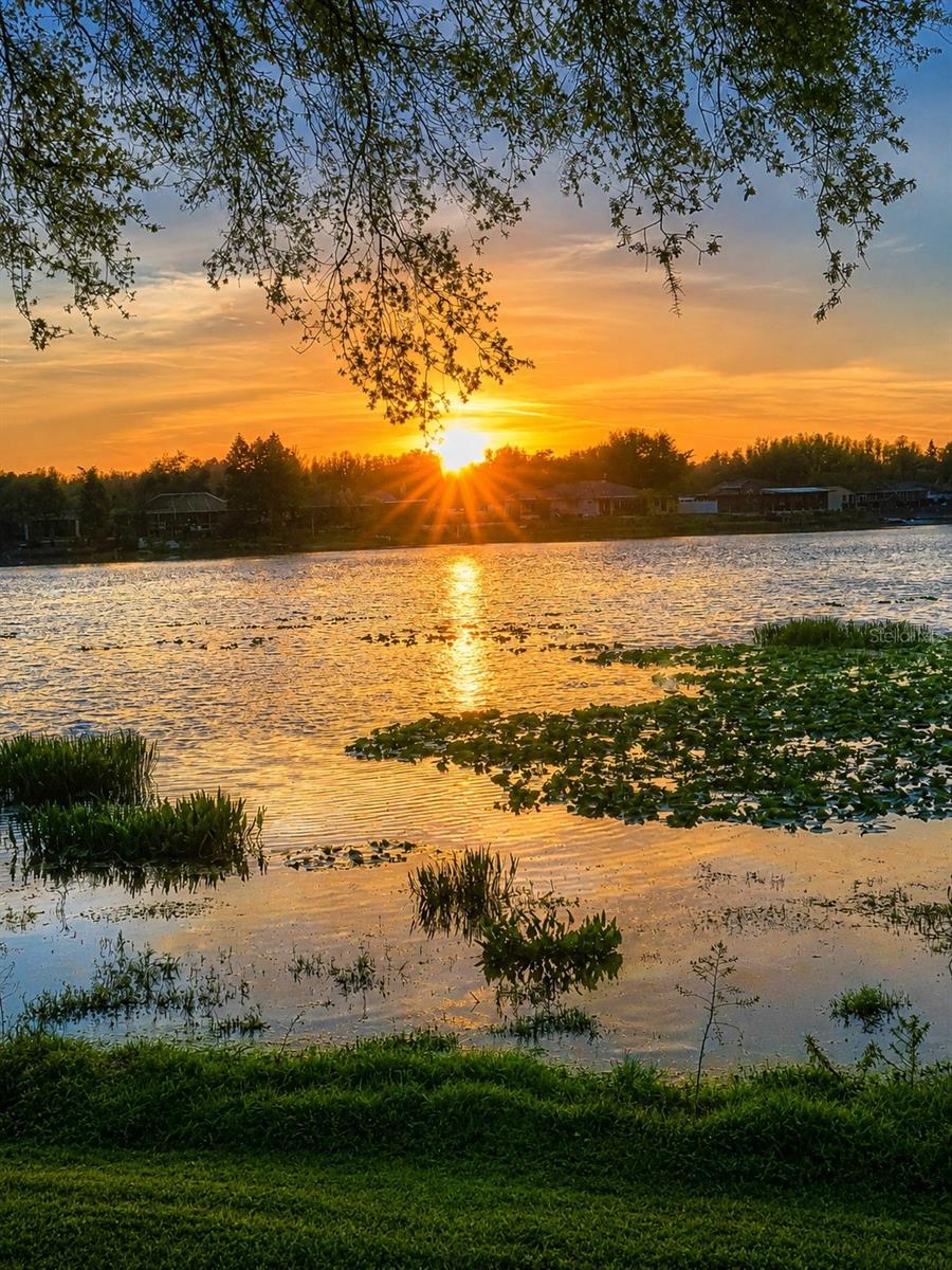 WILLOW BEND - Residential