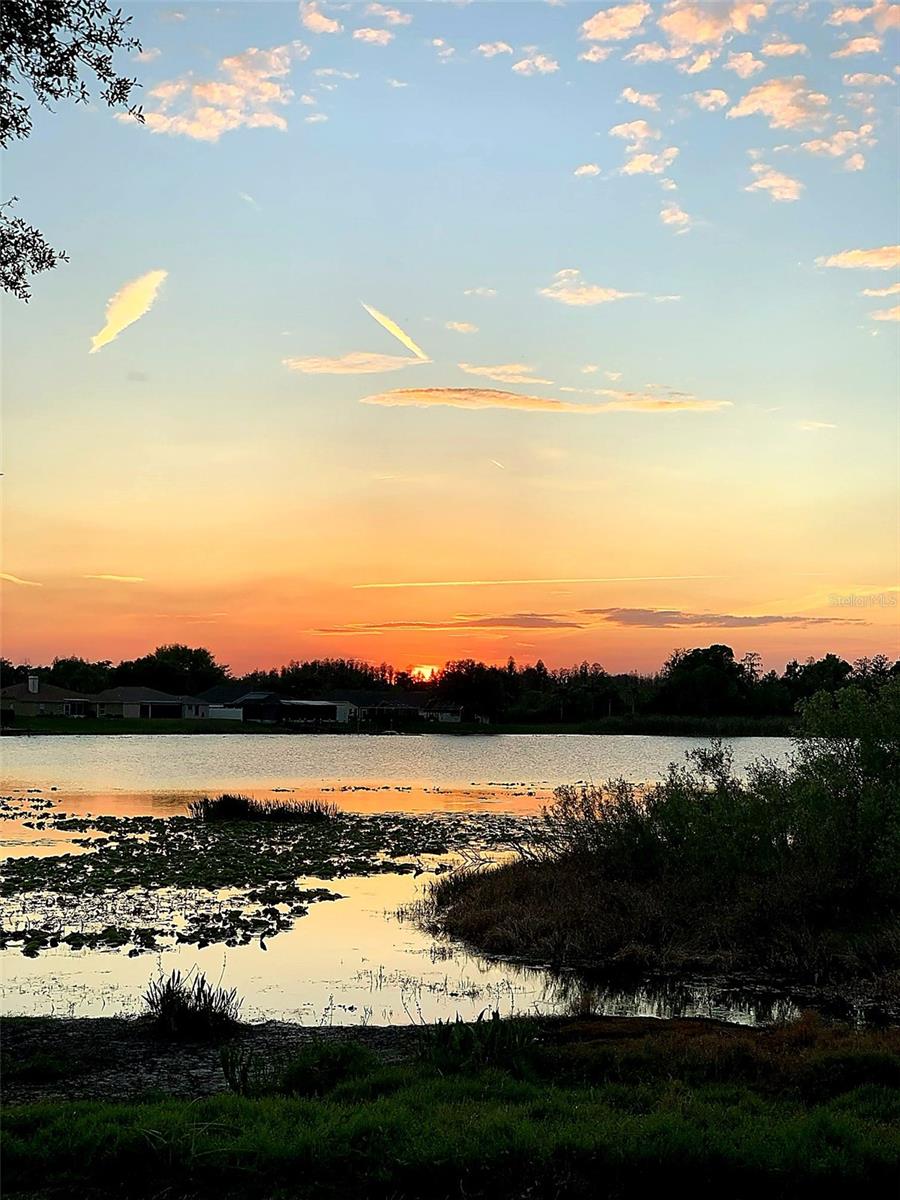 WILLOW BEND - Residential