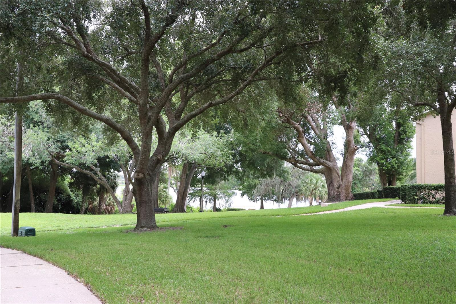 PARK LAKE TWNHS - Residential
