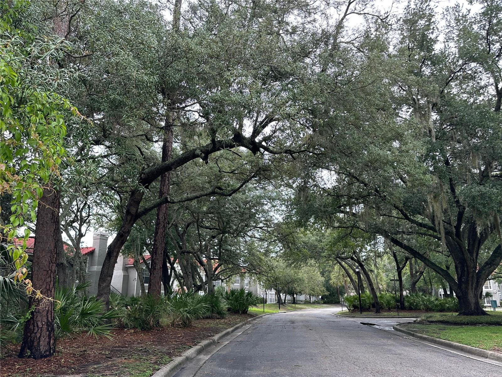 HUNTERS CHASE CONDO PH 1 - Residential