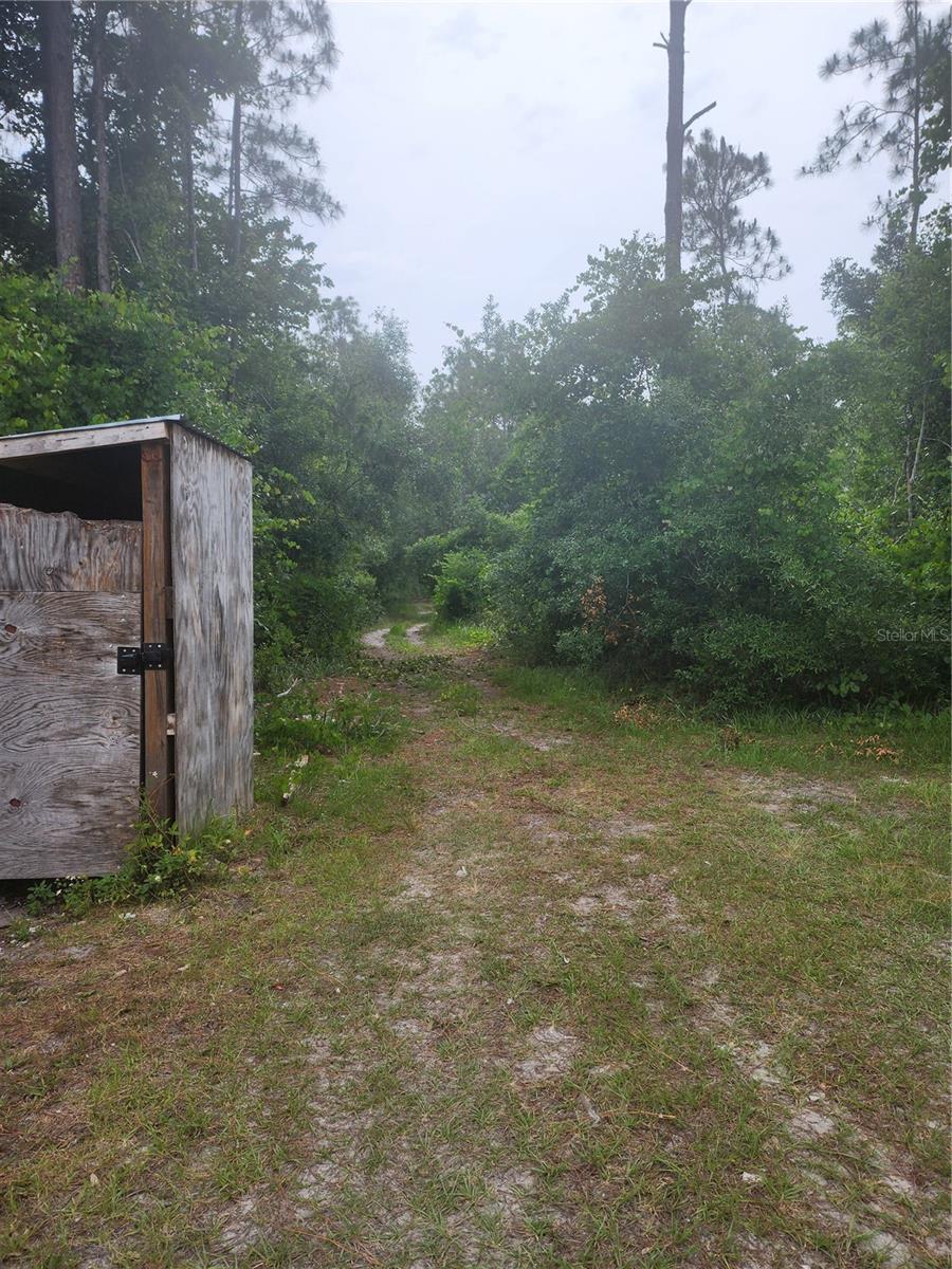 Survey Available. Purchase your own little piece of paradise in DeLand. .26 acre lot has a little creek in the back. Located on a dirt road, close to Daytona Beach & Orlando. Low property taxes & NO HOA. Purchase now for your future homesite. Buyers and Buyer's agent responsible for due diligence.