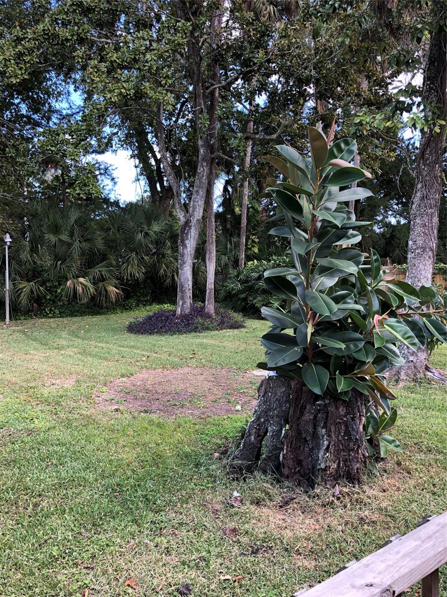 Westward Park - Residential