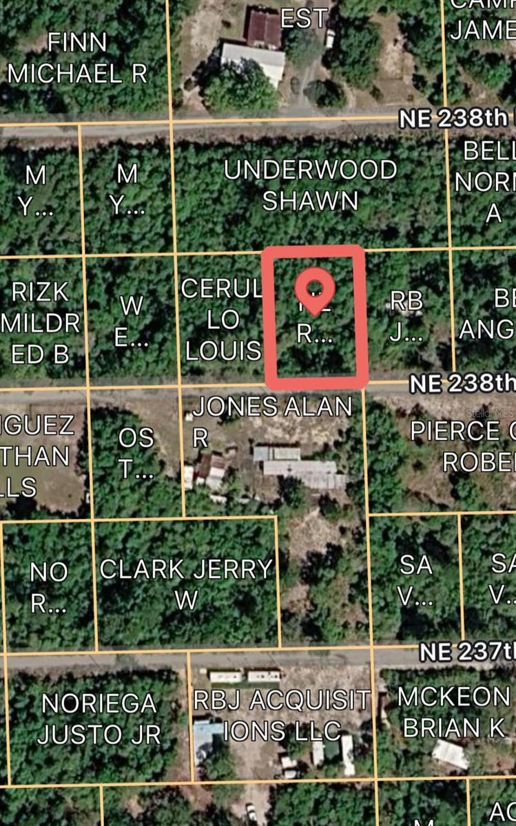 OCALA NATIONAL FOREST CAMPSITES - Land