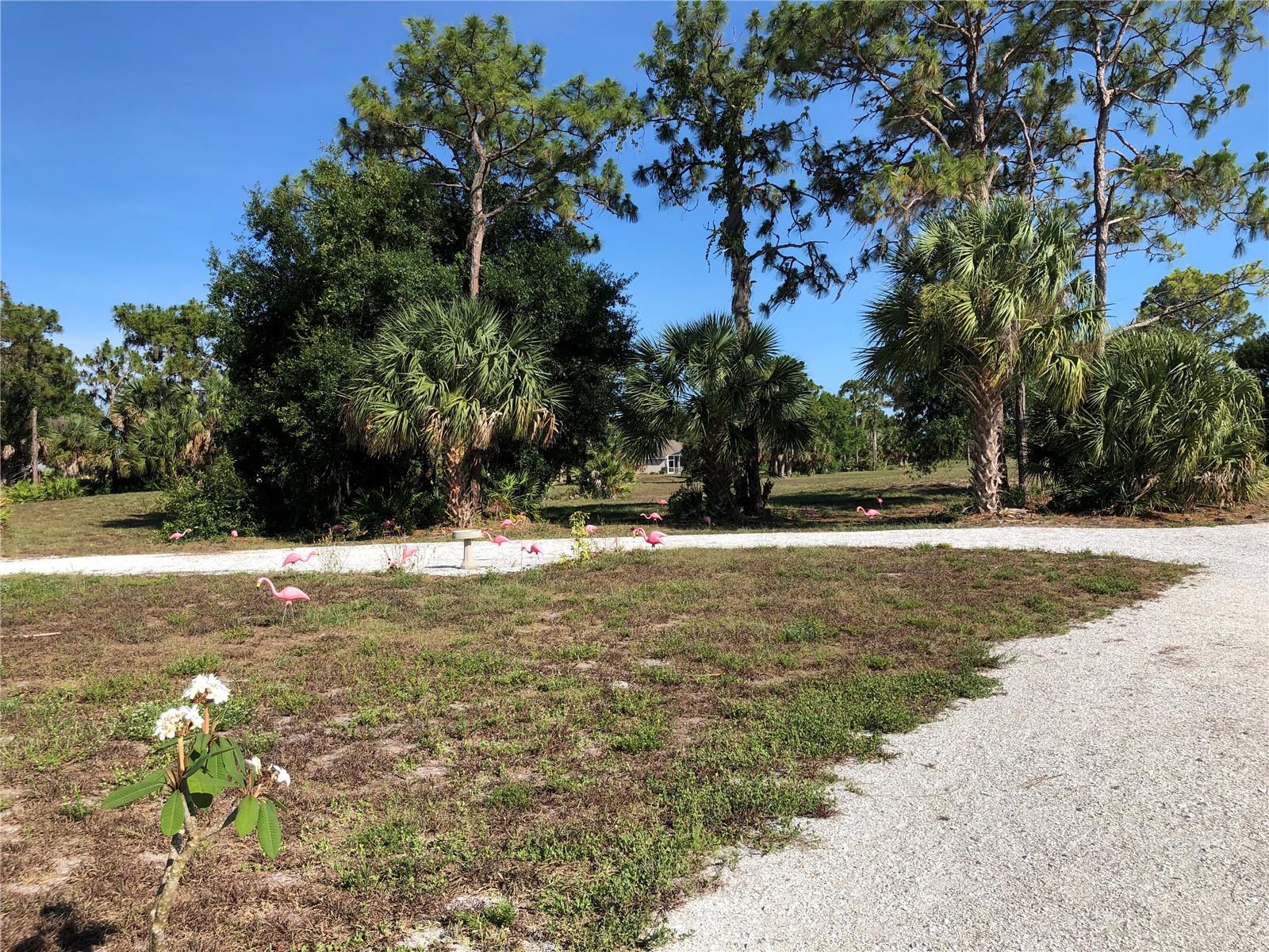 ROTONDA WEST PINE VALLEY - Land