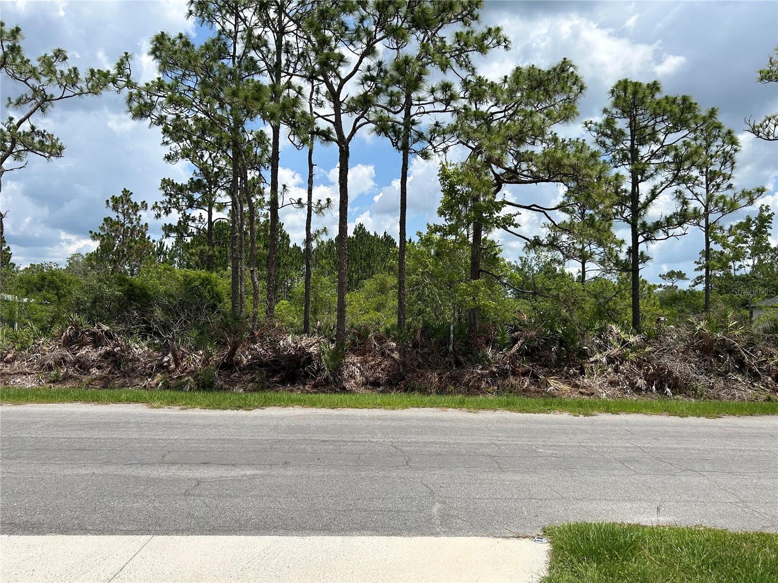 CAPE ORLANDO ESTATES - Land