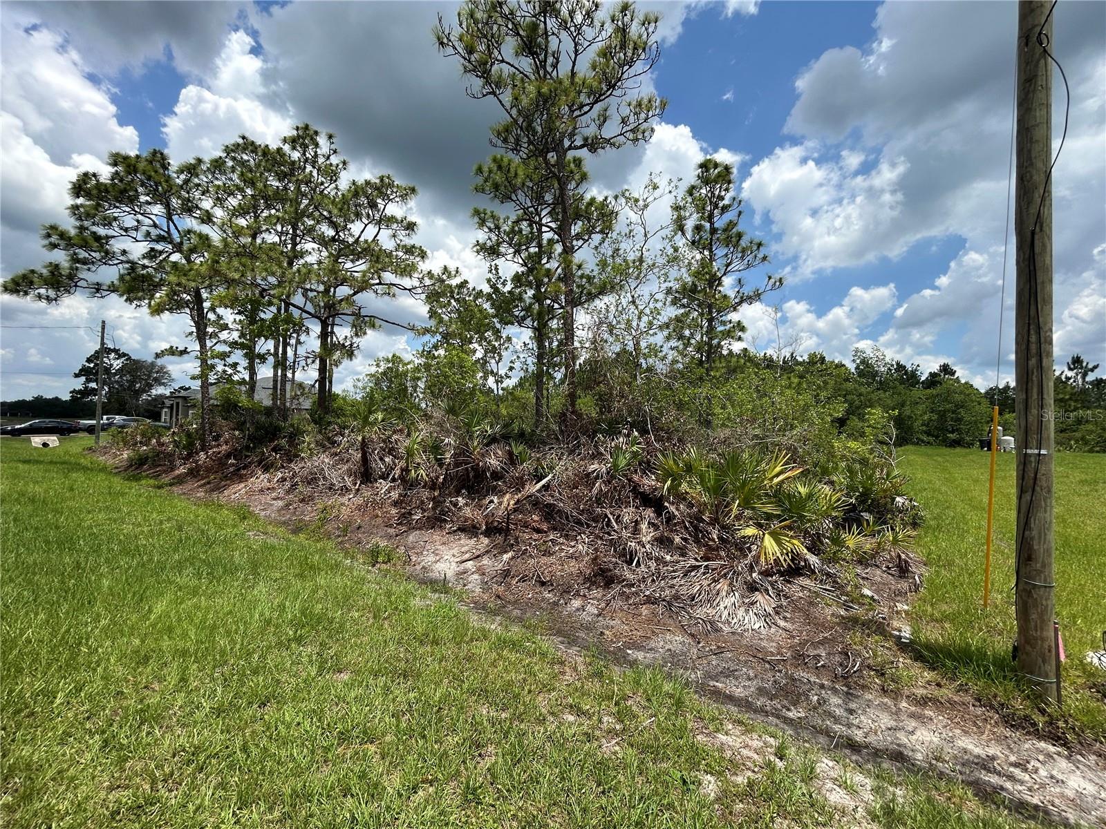 CAPE ORLANDO ESTATES - Land