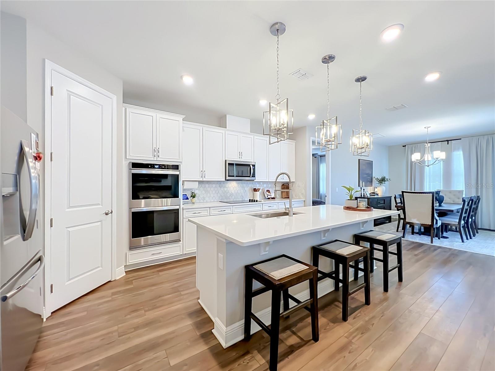 VILLAGES AT MINNEOLA HILLS - Residential