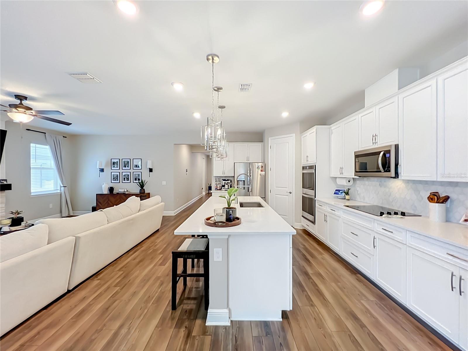 VILLAGES AT MINNEOLA HILLS - Residential