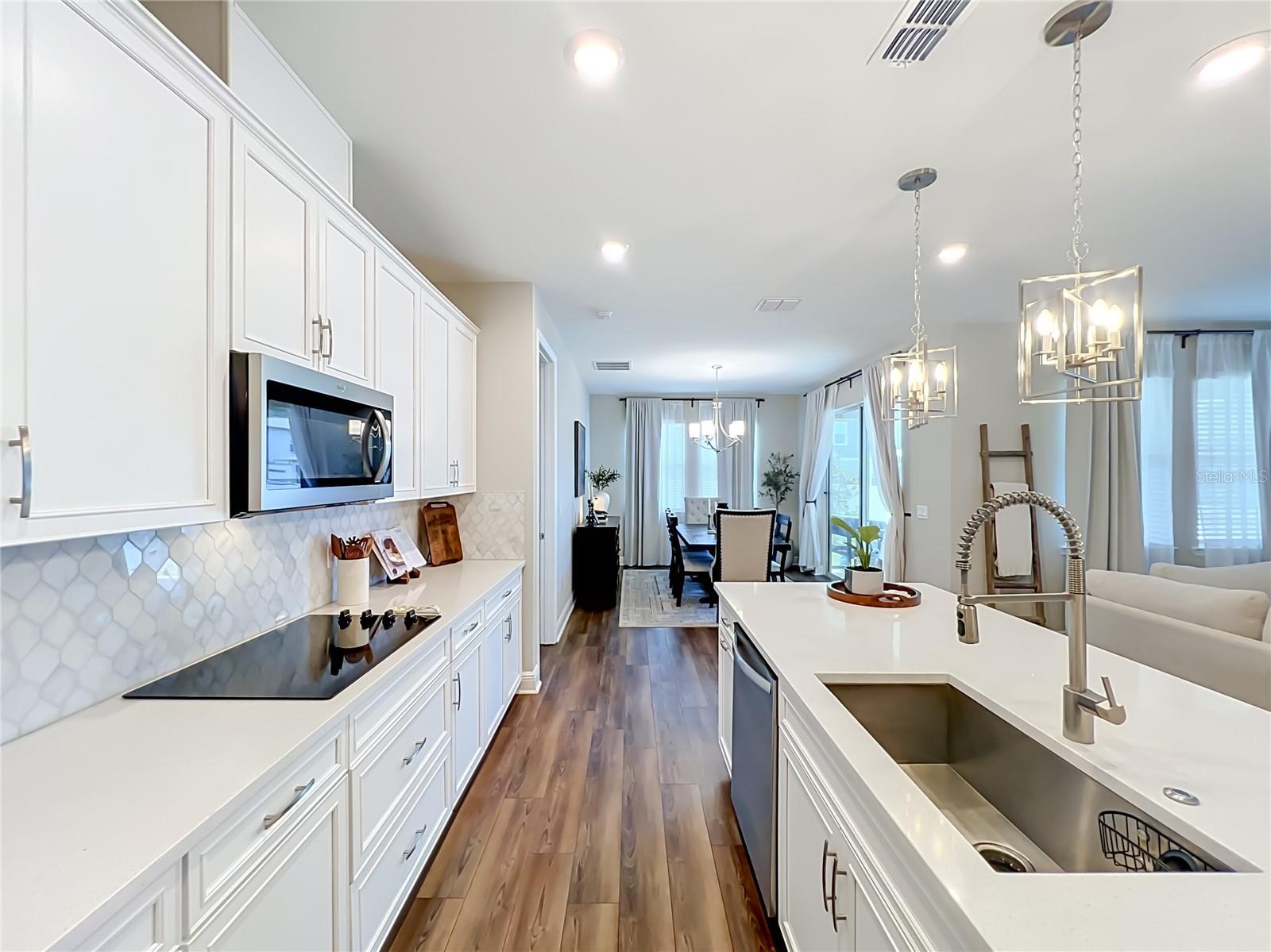 VILLAGES AT MINNEOLA HILLS - Residential