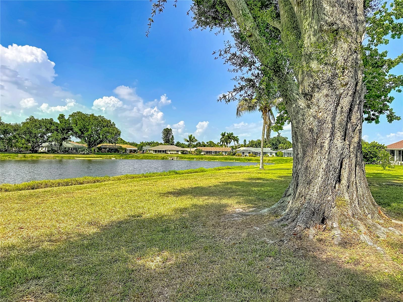 MEADOW RUN AT JACARANDA - Residential