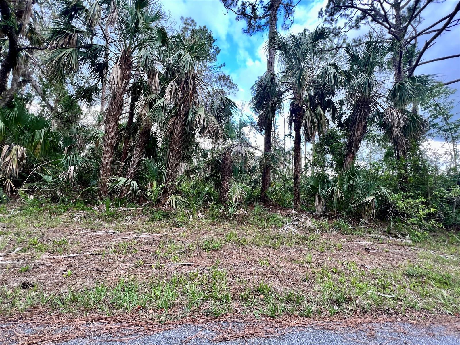 Beautifull lot offers a unique opportunity to build the home of your dreams, Situated in Port Charlotte a quiet area, this land boast panoramic views and convenient location close to local amenities. With ample space to design and build, this lot is perfect for those looking to create their own personal paradise. Don't miss the change to turn the space this land into your HOME!!