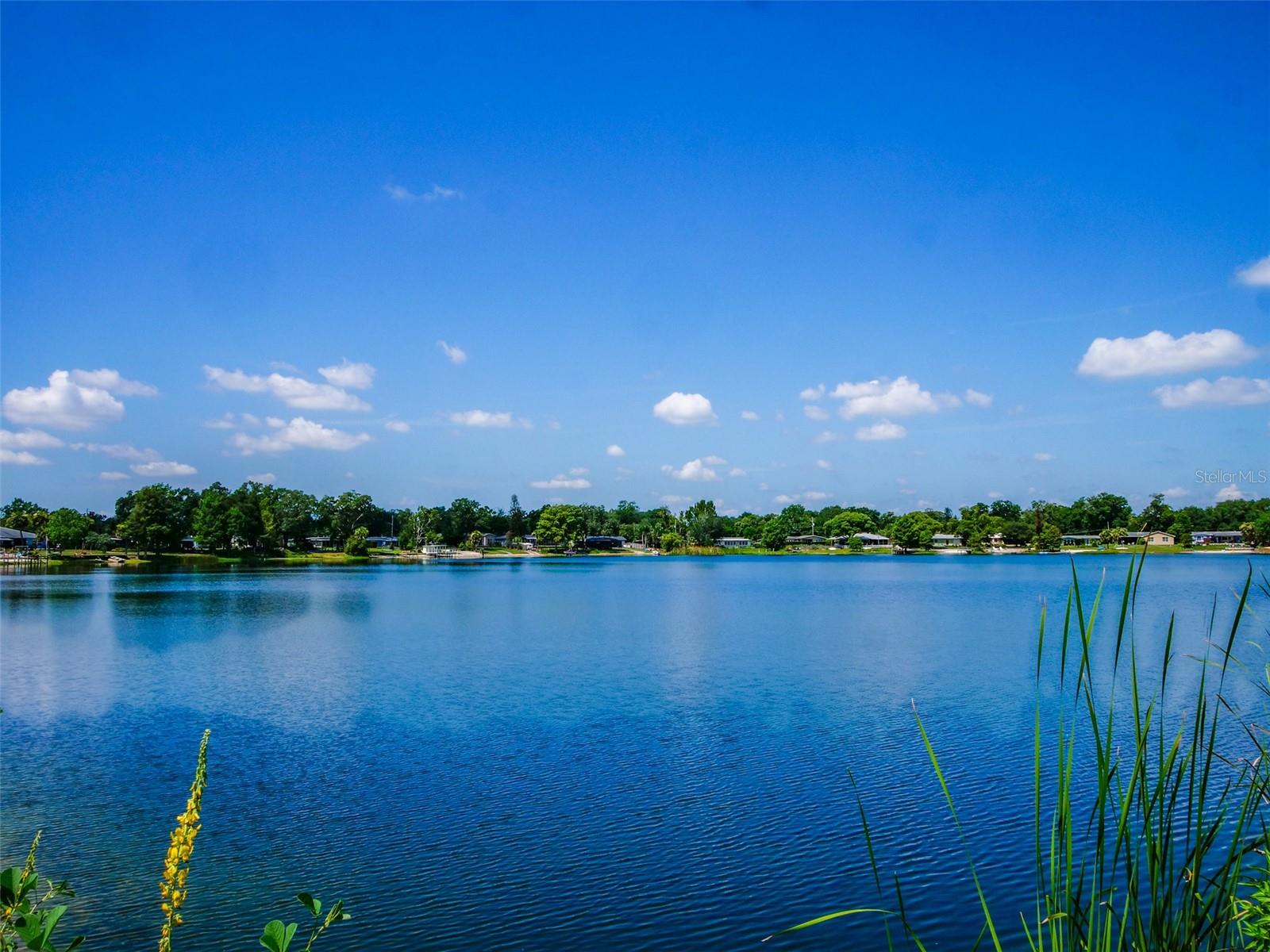 DOVER SHORES EIGHTH ADD - Residential
