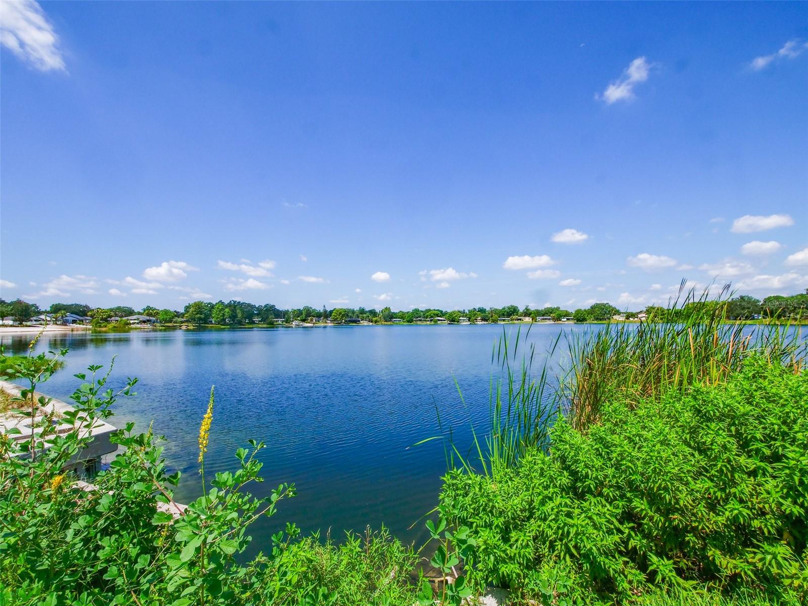 DOVER SHORES EIGHTH ADD - Residential