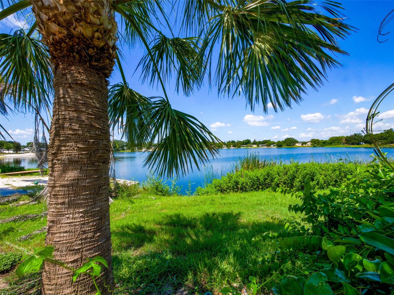 DOVER SHORES EIGHTH ADD - Residential
