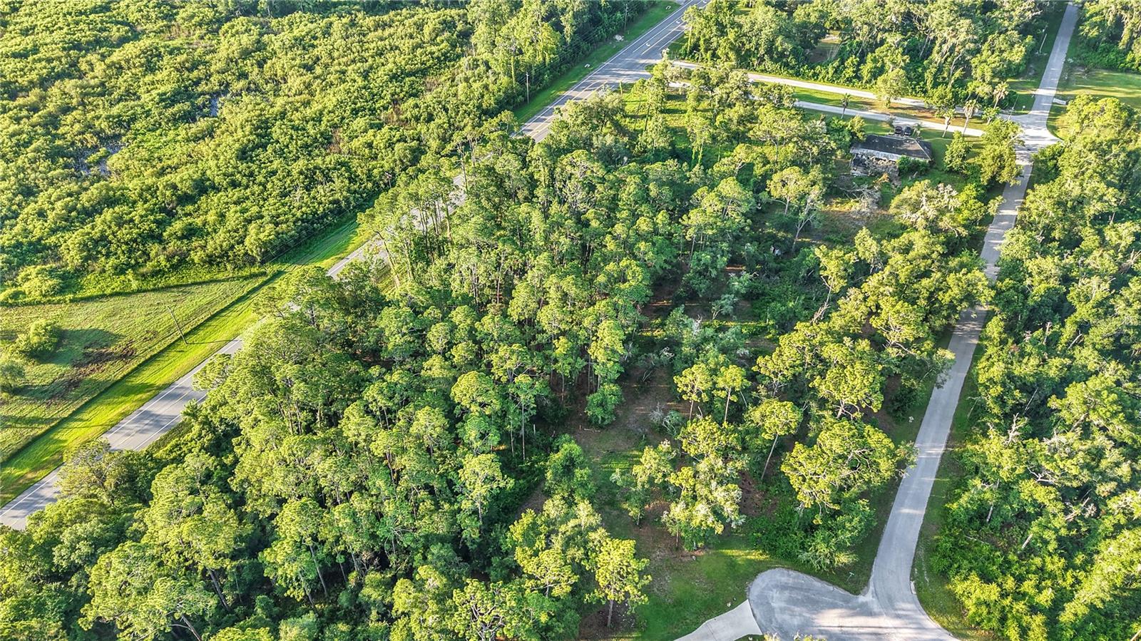 RIDGE MANOR ESTATE - Commercial Sale
