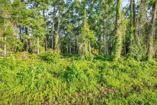 RIDGE MANOR ESTATE - Commercial Sale
