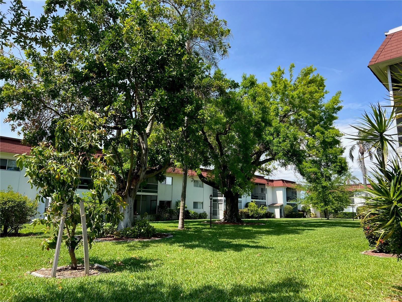 BENEVA VILLAGE SEC 1 - Residential