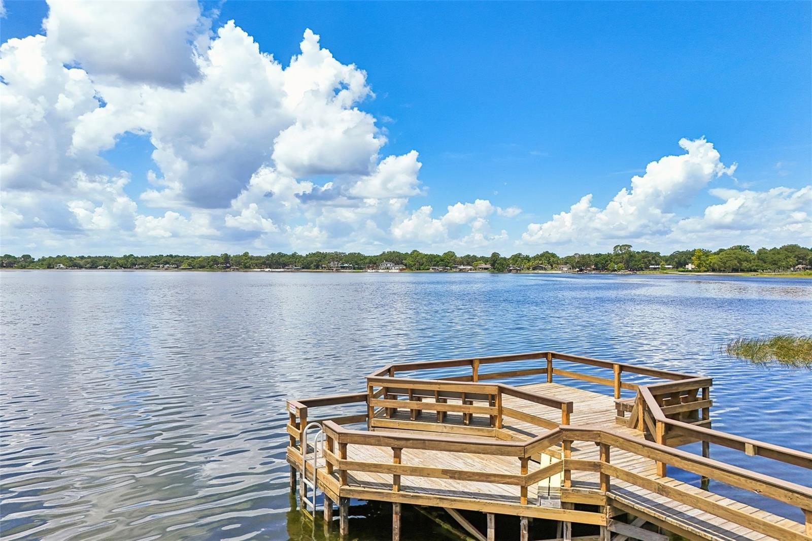 PARK PLACE ON LAKE JOANNA - Residential