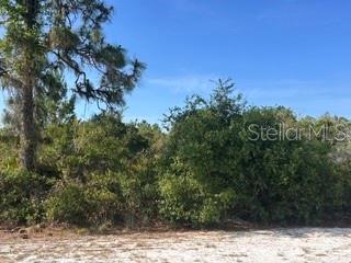 Each parcel in Indian Lake Estates has unique characteristics and deserves its own description. This ACRE lot is your perfect off-grid property! Pay electric only and dig well and install septic, for a low maintenance home. This rare listing is for two lots together, for a total of 1 acre. There is plenty of room to build a house (you can even keep the lots separated and build one for you and one for a friend!) and have a tree buffer on both sides of your home for privacy. The property faces NORTH, so you will have cool days since the sun rises and sets over the house, not in the front or back. The roads are private, so drive your golf cart to the clubhouse for a round of golf. Pay your ANNUAL community licensing fee for 2026 of $396.27 per parcel to help maintain community amenities, and you can play the 3-par, 9-hole executive course for free EVERY DAY. The primary 18-hole course is designed by Gary Cobb and is public and affordable. As you begin to plan your future in Florida, consider living a serene and private life in this neighborhood of Indian Lake Estates (informally, ILE). But don’t think it is all sunsets. The active community offers concerts, karaoke and trivia nights, weekly card games, bingo, movie nights, a book club, and pickleball and tennis courts, just to name a few. The community clubhouse also has a restaurant open 7 days a week, complete with bar. There is an additional bakery/eatery in the community, along with storage facilities in the commercial district. Indian Lake Estates is a perfect balance of privacy and activity. Call your agent and builder today and start planning!