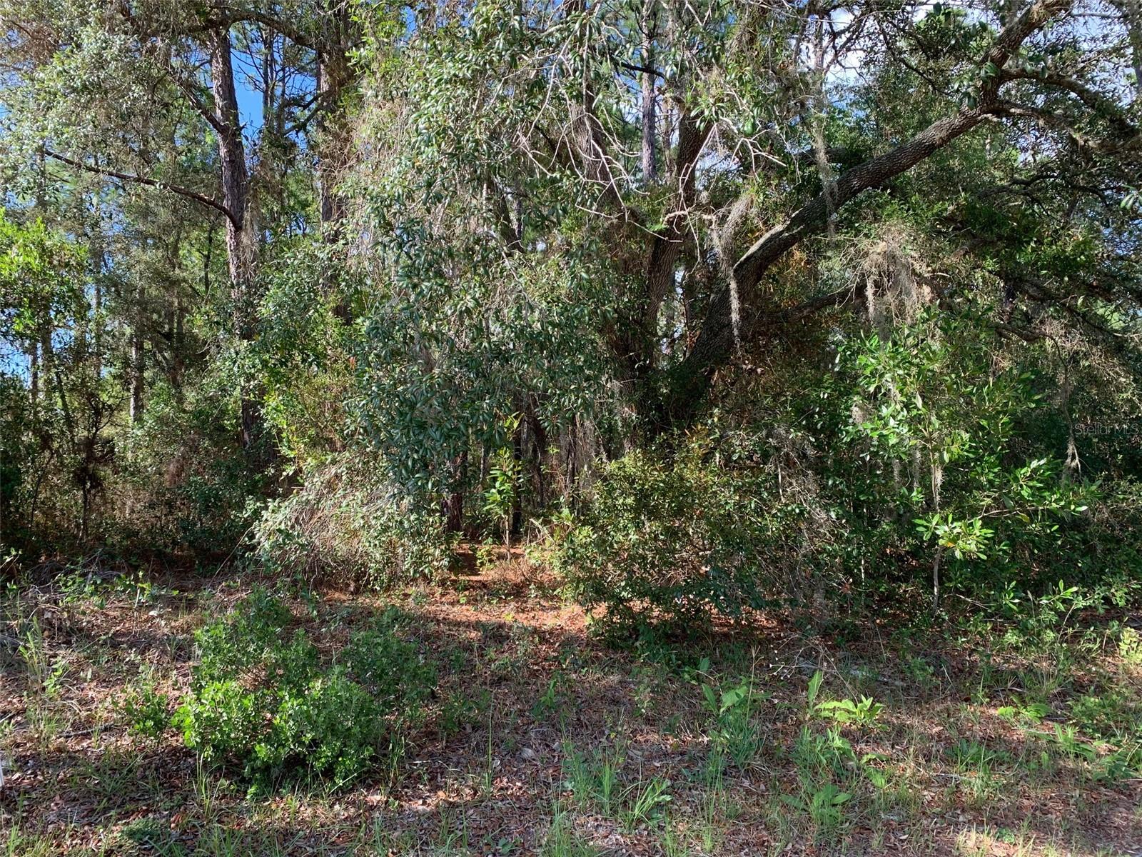 CITRUS SPGS UNIT 10 - Residential