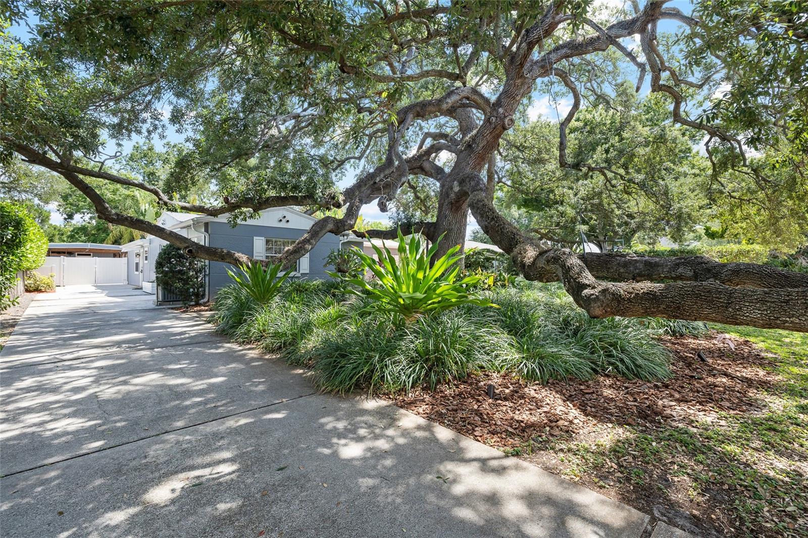 BEACH PARK - Residential