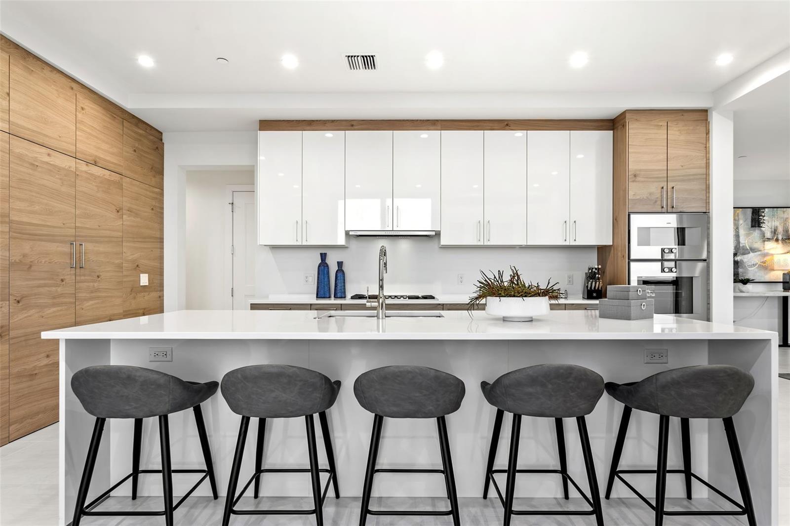 HYDE PARK HOUSE - Residential