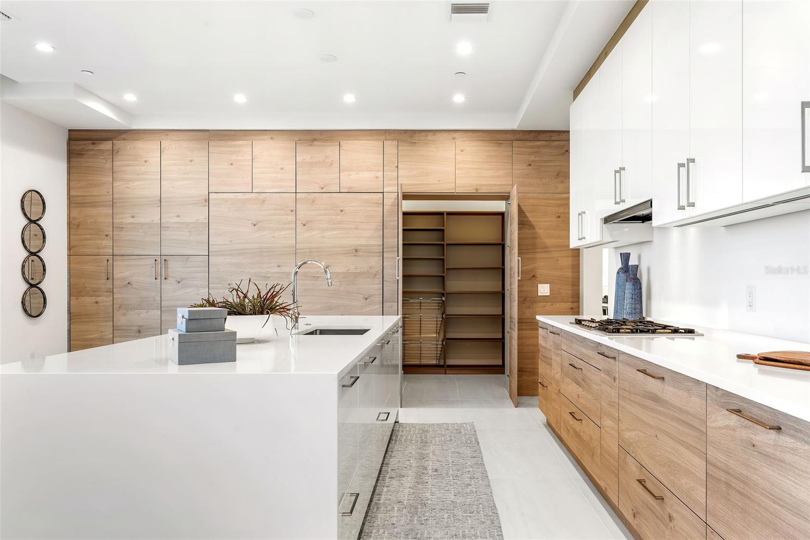 HYDE PARK HOUSE - Residential