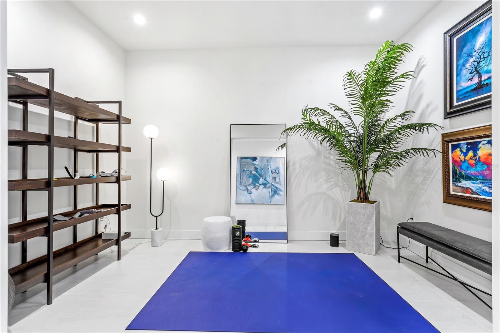 HYDE PARK HOUSE - Residential
