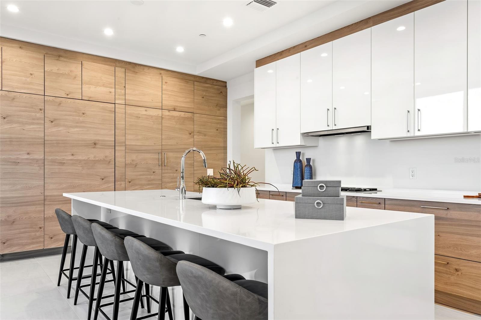 HYDE PARK HOUSE - Residential