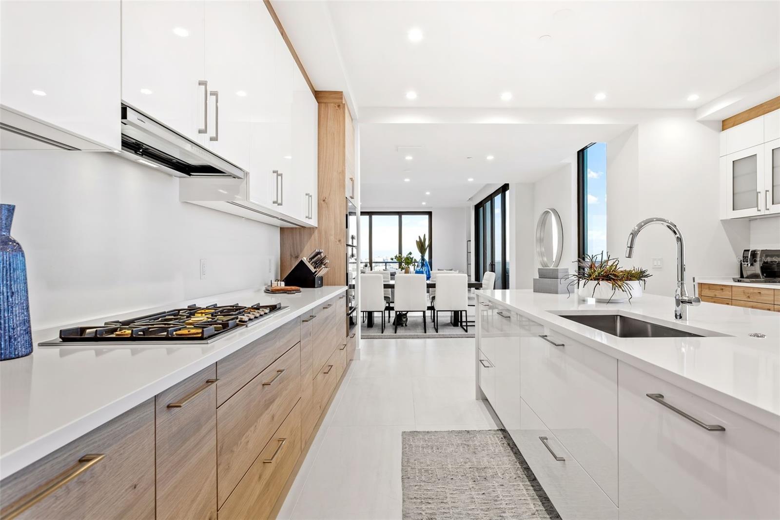 HYDE PARK HOUSE - Residential