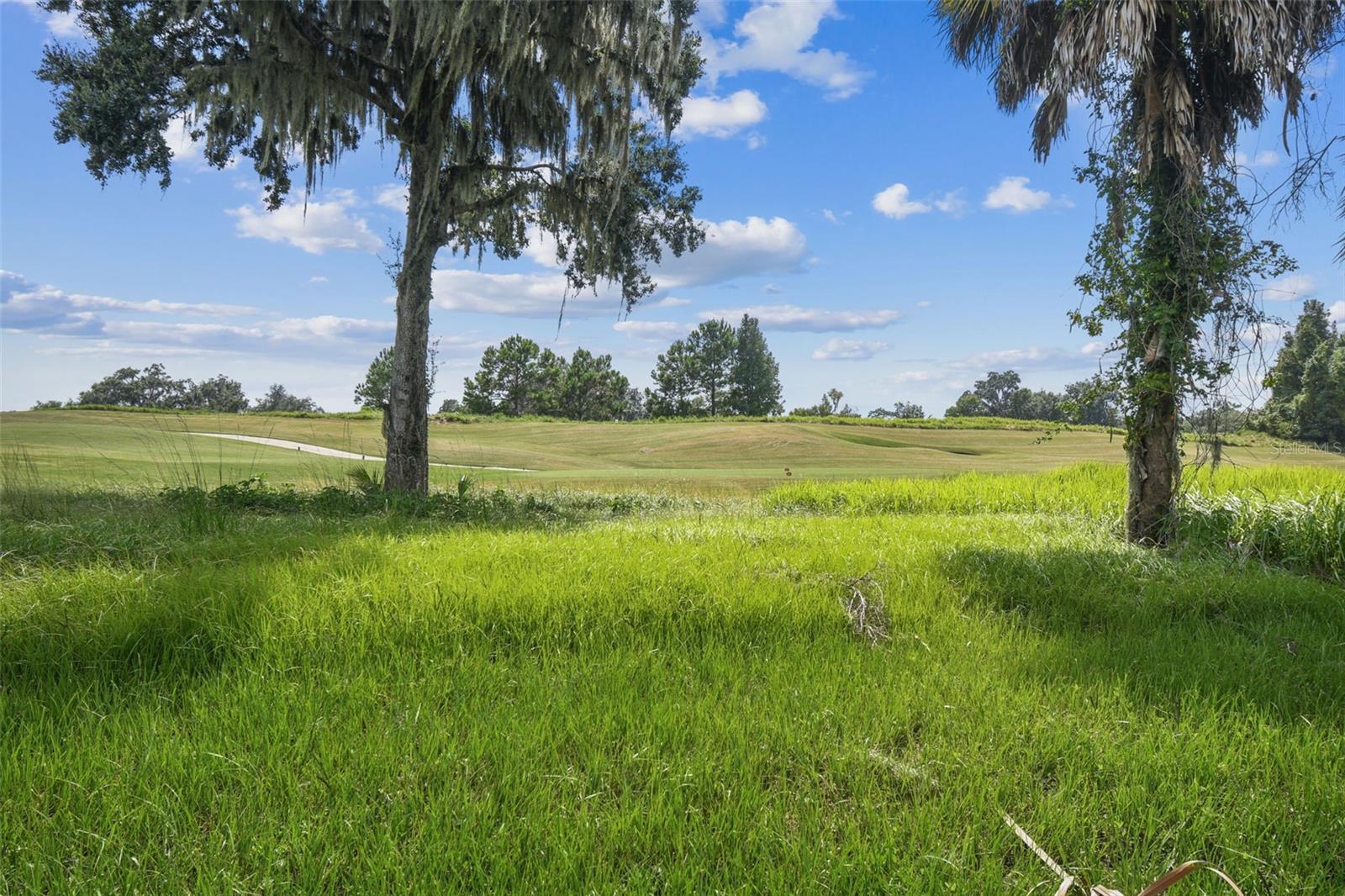 SOUTHERN HILLS PLANTATION - Residential