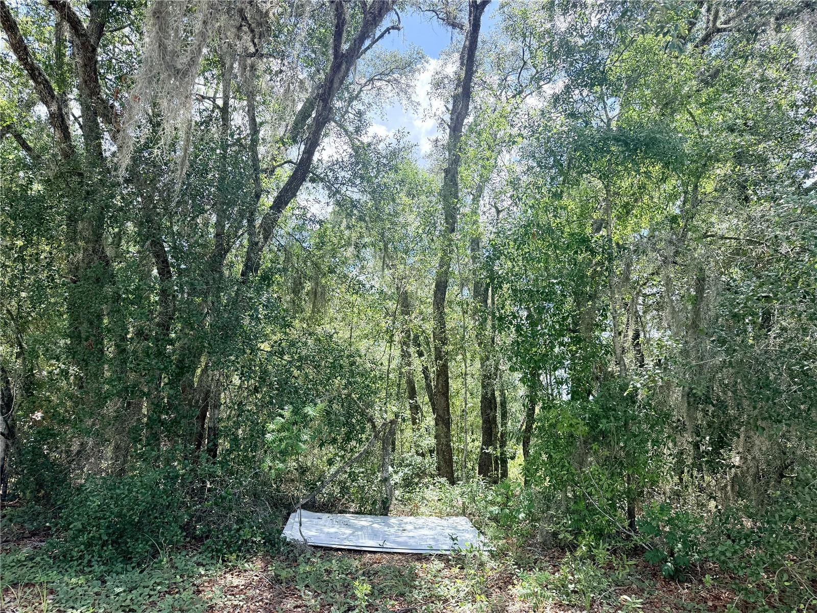 Exceptional opportunity to build your dream home or invest in a growing area of Citrus County! This spacious 12,322-square-foot vacant lot at 7932 N Elkcam Boulevard is zoned Rural Residential, offering flexibility for a variety of residential uses while maintaining the area's peaceful, natural character. With ample room for a custom home and outdoor living spaces, this property presents the perfect canvas to bring your vision to life. Conveniently located near shopping, dining, schools, medical facilities, and recreational attractions, while still providing the privacy and tranquility of a residential setting. Enjoy easy access to nearby parks, golf courses, lakes, and the Gulf Coast, making it ideal for those seeking the Florida lifestyle. No HOA. Don't miss this opportunity to own land in an area experiencing continued growth and development.