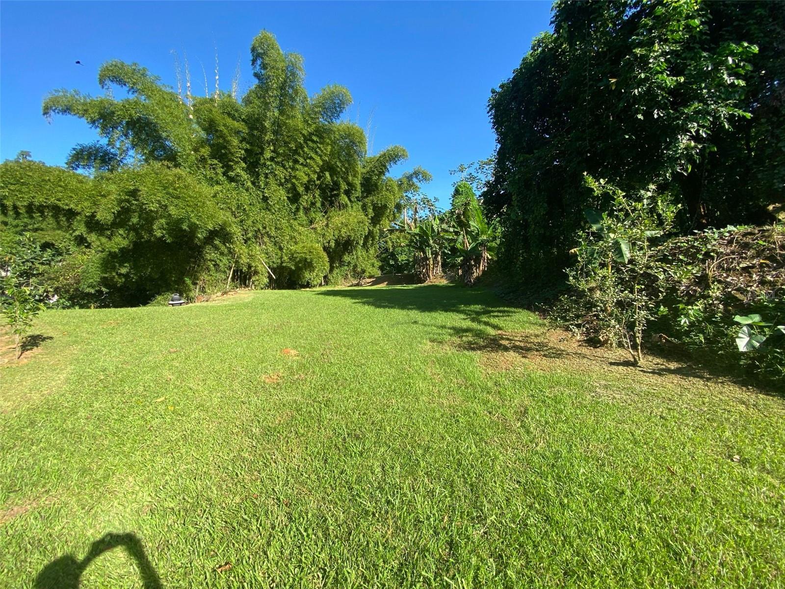 Irregularly shaped parcel of land consisting of a total of one point eight seven eight cuerdas (1.878) (4,841 square meters = 52,105 square feet).