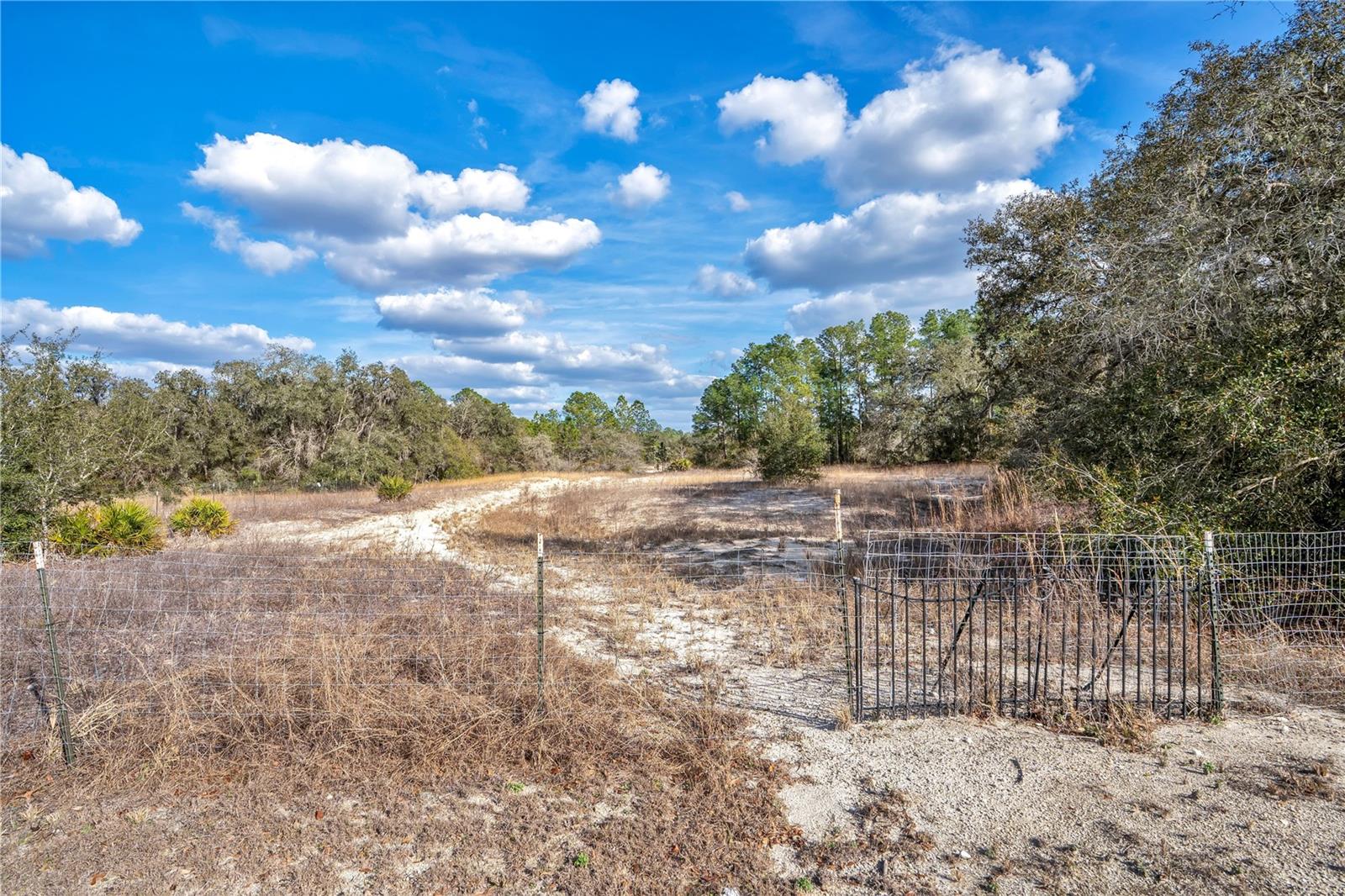 RIDGE MANOR ESTATE - Land