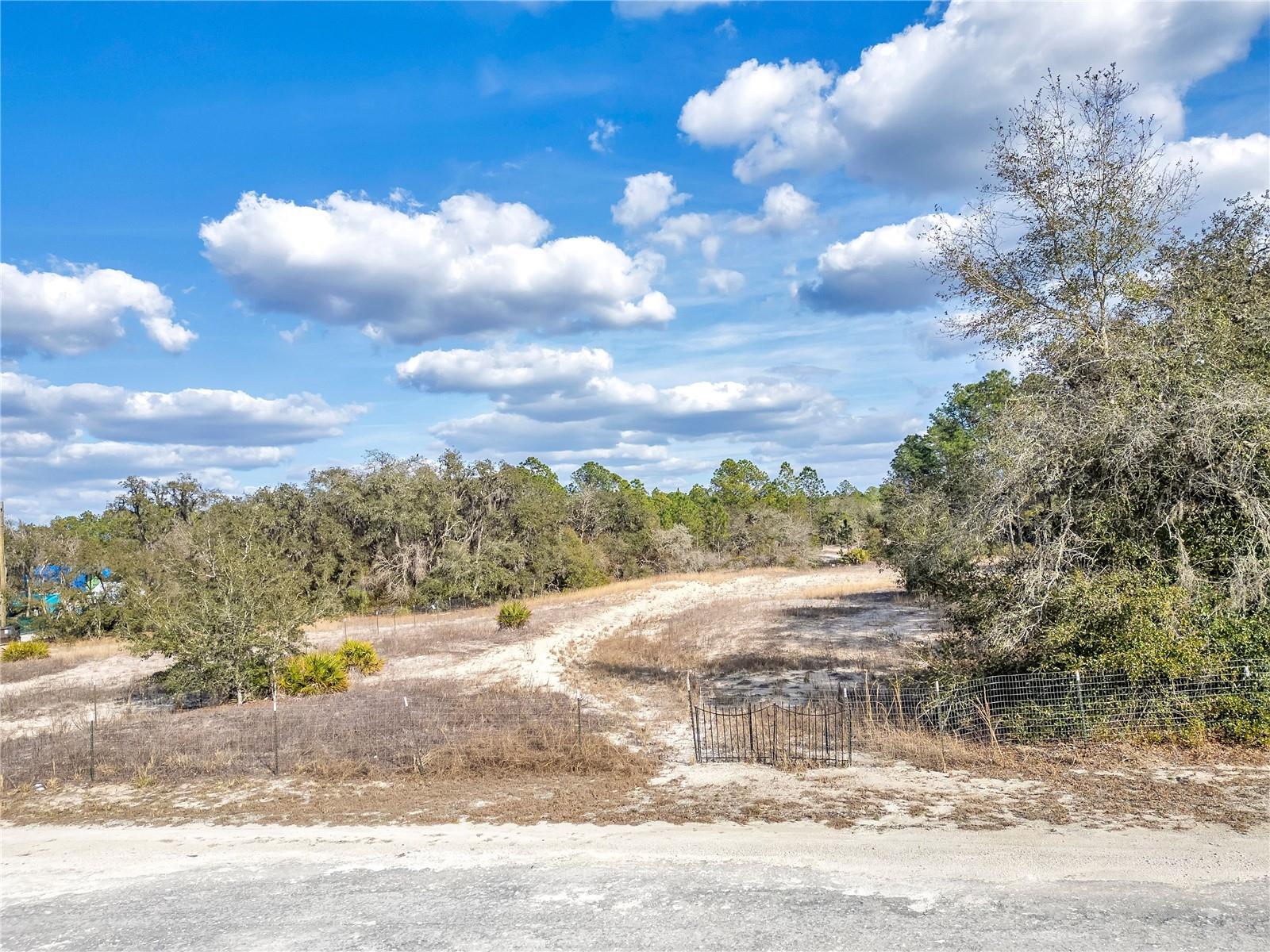 RIDGE MANOR ESTATE - Land