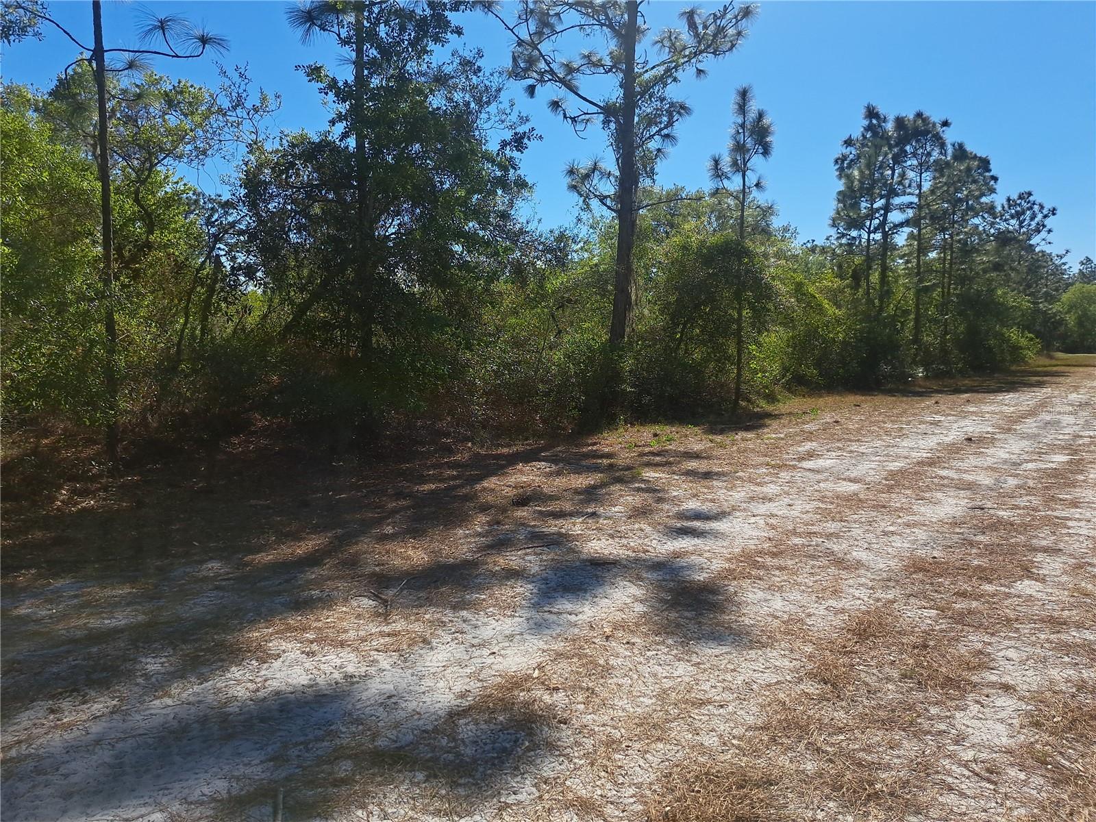 INDIAN LAKE ESTATES - Land