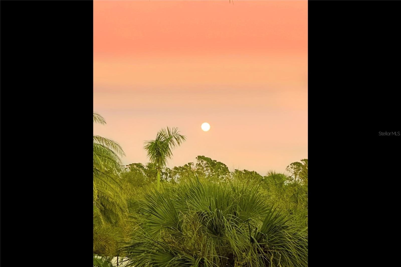 PALM ISLAND ESTATES - Residential