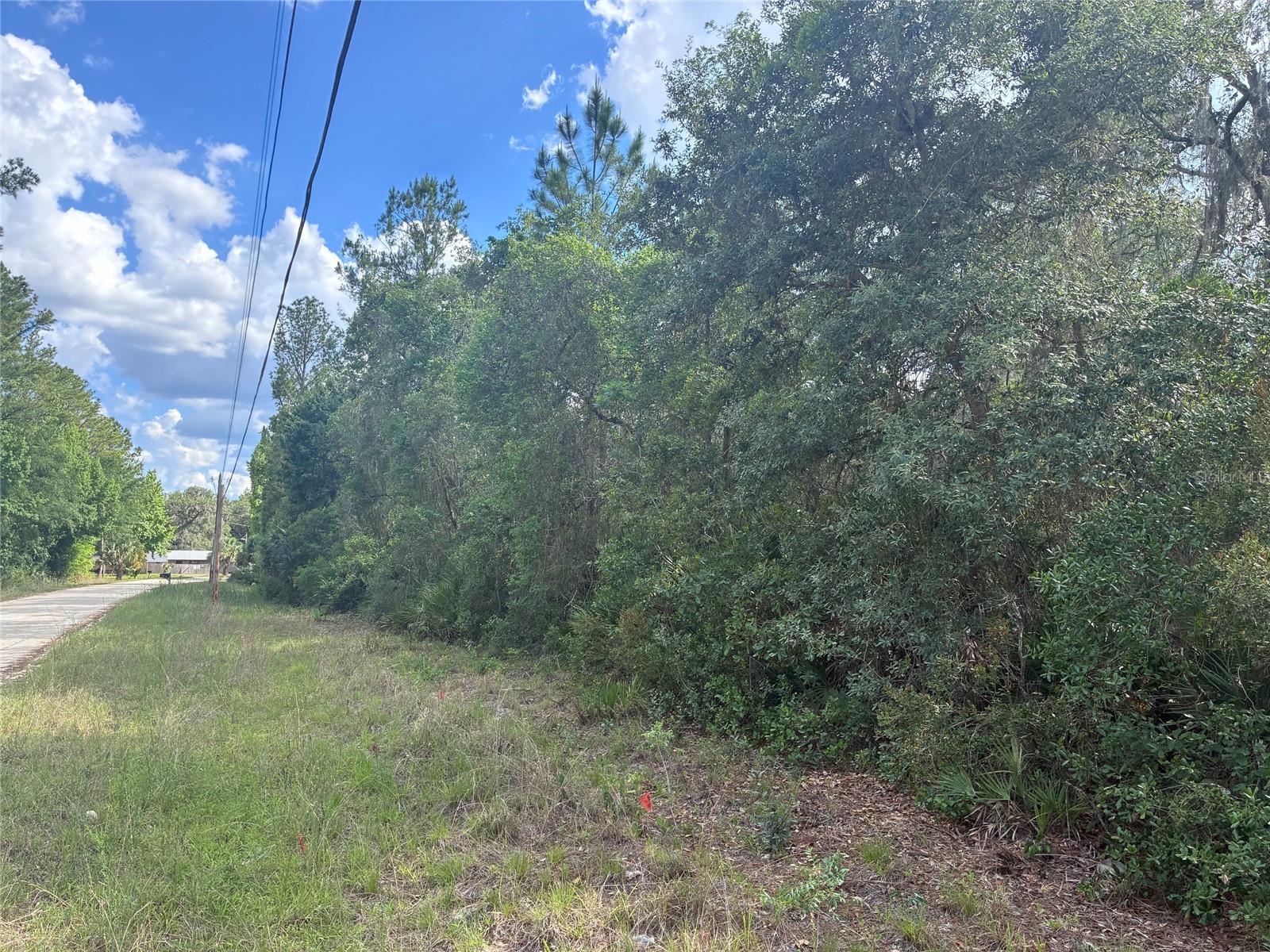 Lovely and secluded but just off paved road. Citra area 9.5 acres with character.  Lightly wooded with open areas and small pond.  Just SE of Citra off 175th Street.