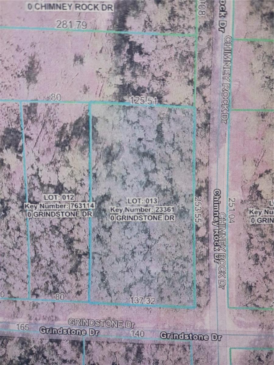 Great wooded lot in up and coming Ridge Manor Estates. Almost one acre at .88 for under $30k!